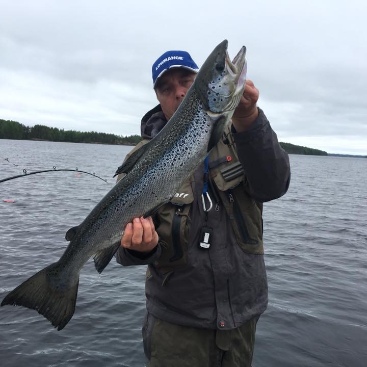 Salmon fishing in Finland