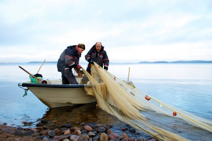 Professional fishing in Finland