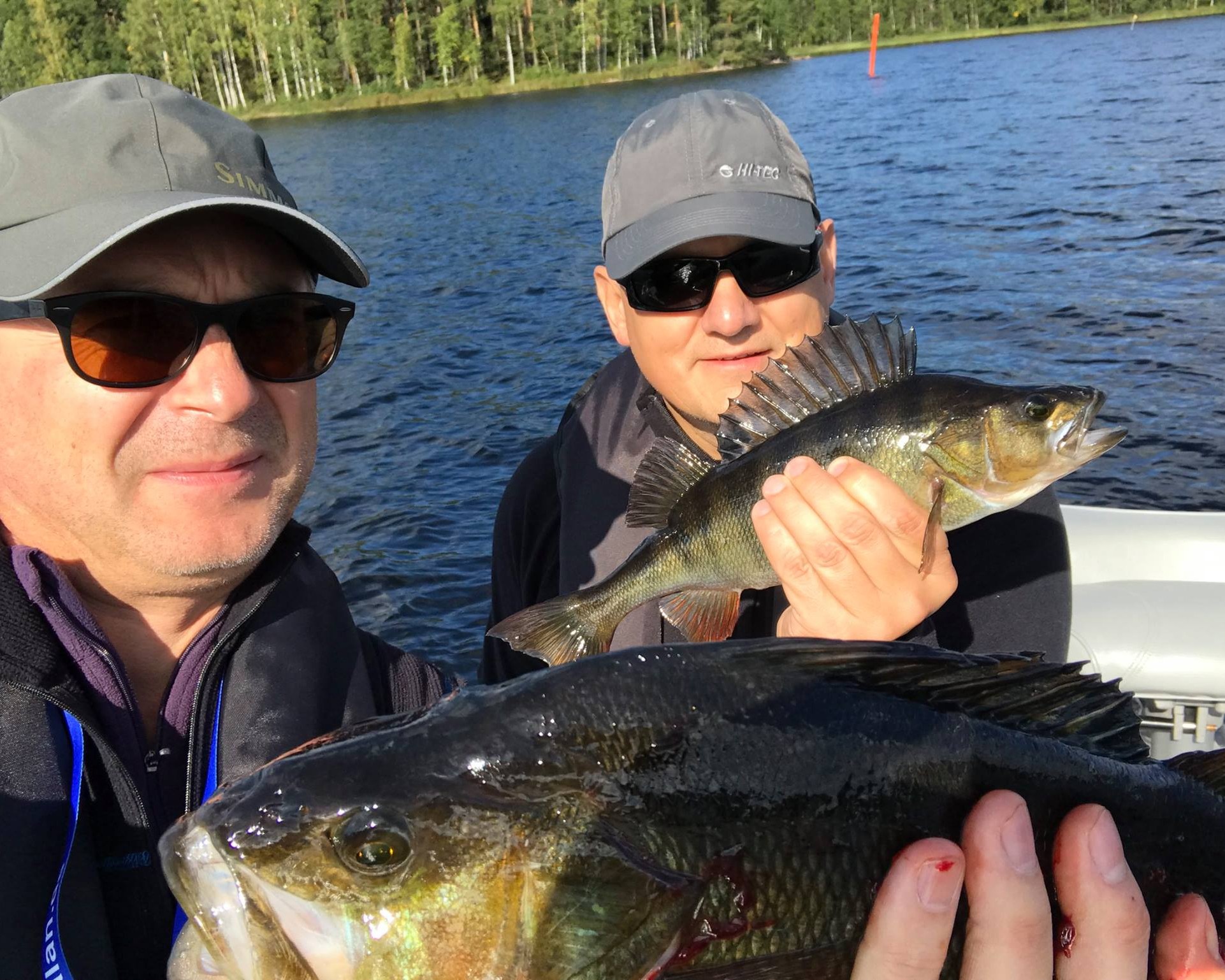 Perch in Finland