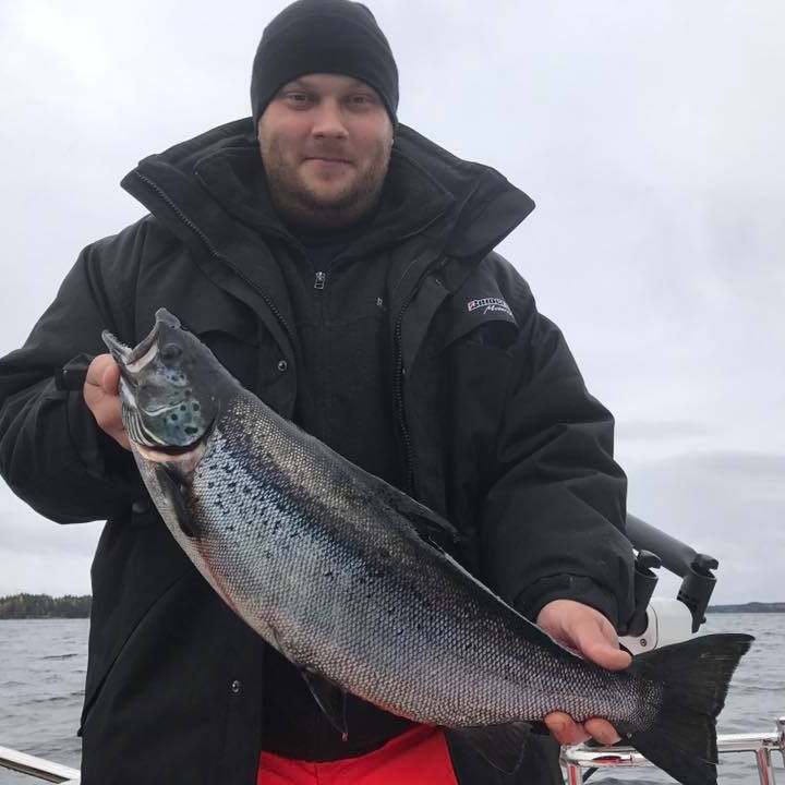 Salmon in Finland