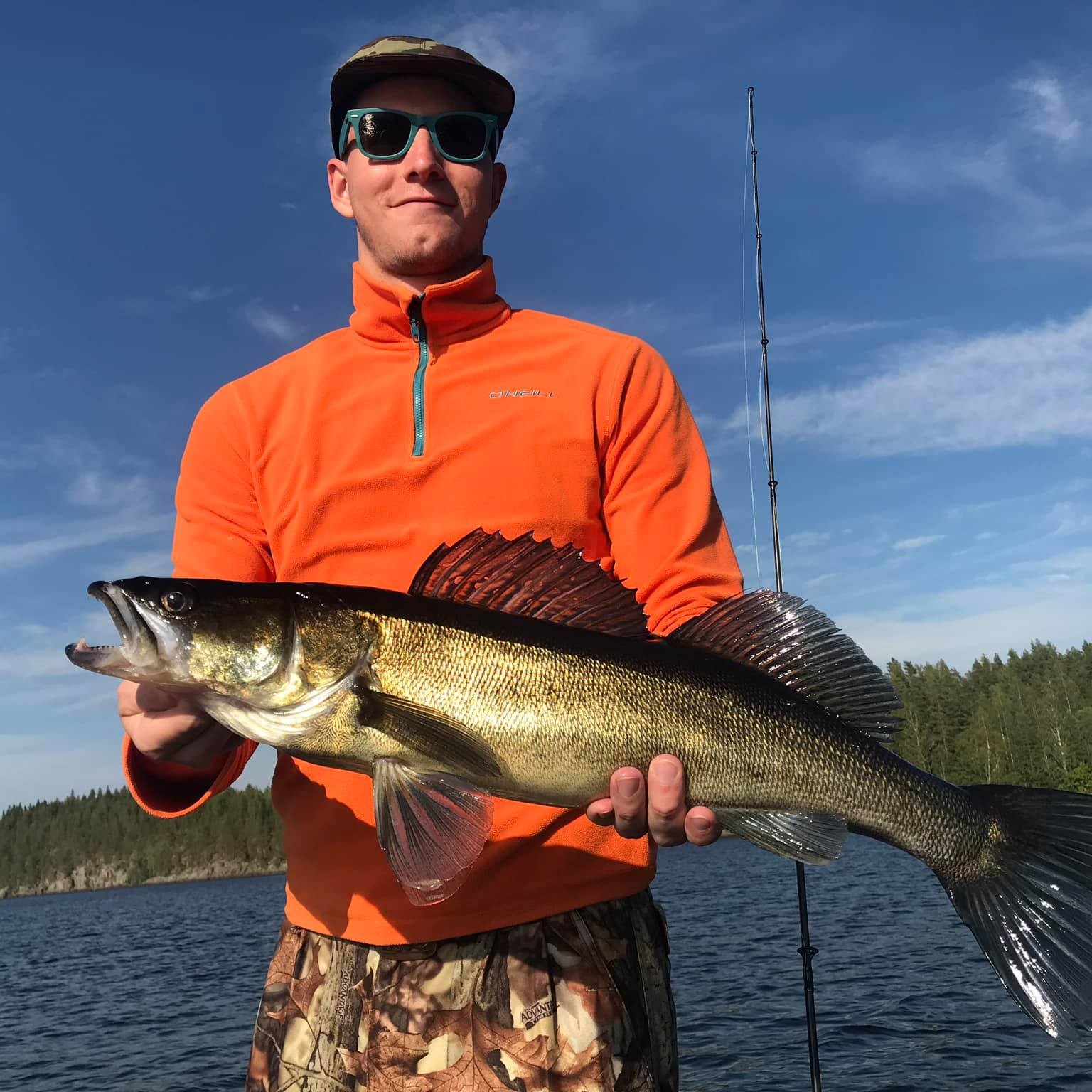 Pike-perch fishing in Saimaa