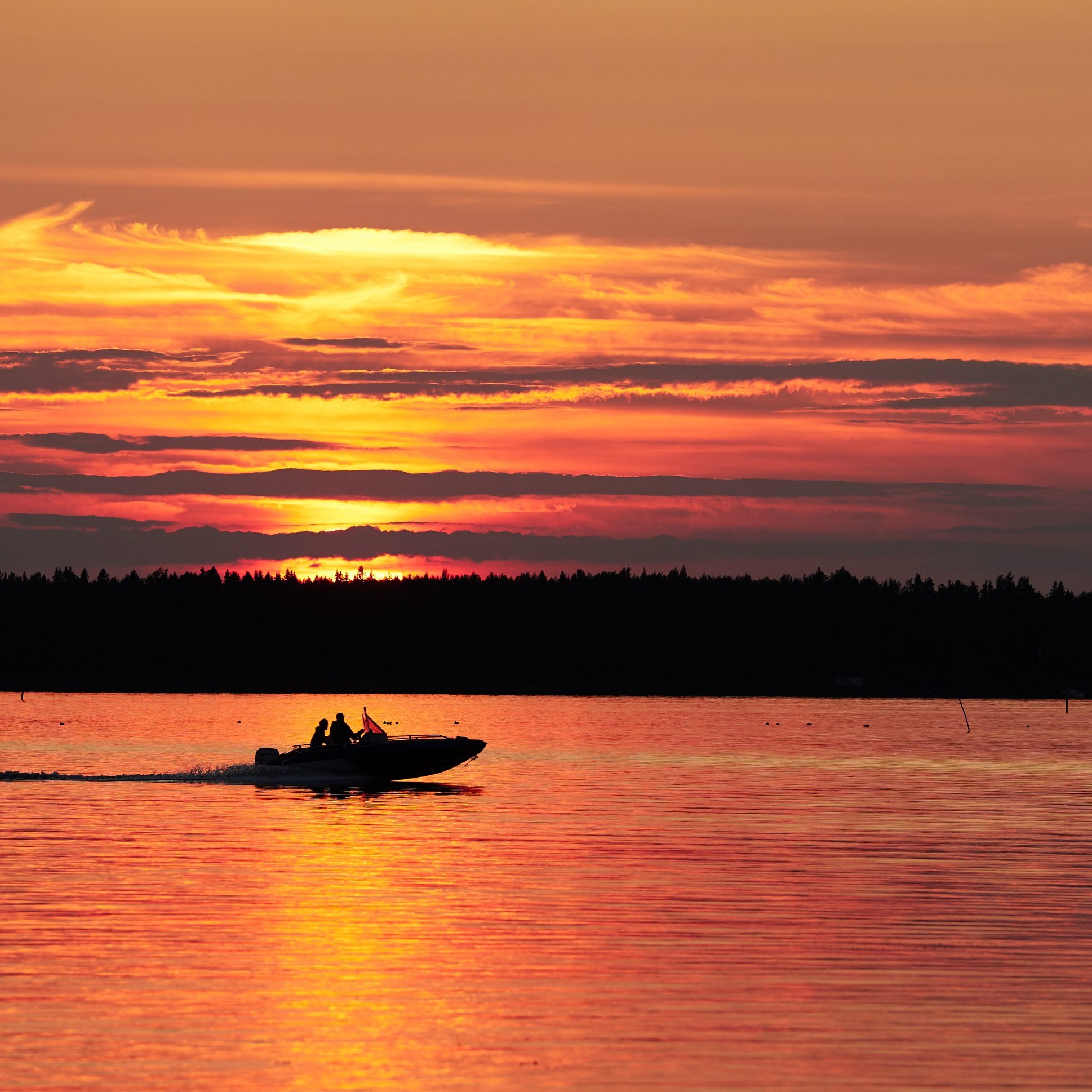 Erfahrene örtliche Angelguides sorgen für Erfolg bei jeder Angeltour am Saimaa.