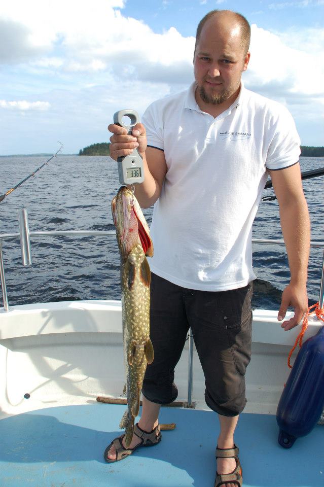 Blue Saimaa oferuje premium zorganizowane wyprawy wędkarskie w malowniczym regionie jeziora Saimaa w Finlandii.