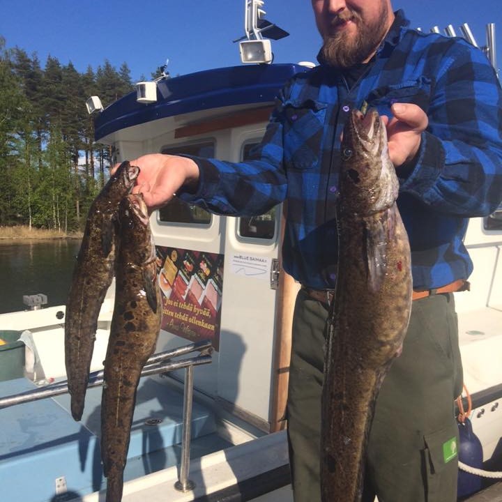 Blue Saimaa bietet professionelle Trolling-Erlebnisse auf dem Saimaa-See mit erfahrenen Guides und erstklassiger Ausrüstung.