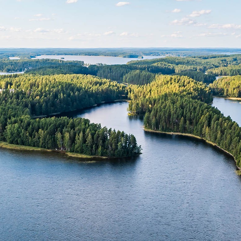 Bogate w ryby wody jeziora Saimaa – idealne do wędkowania w Finlandii