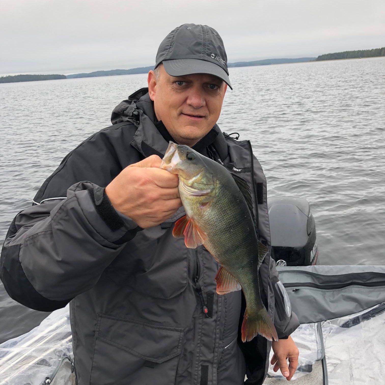 Wędkarz trzyma świeżo złowionego okonia na jeziorze Saimaa w Finlandii.
