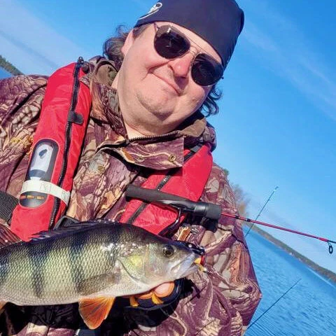 Zbliżenie na okonia złowionego w krystalicznych wodach jeziora Saimaa w Finlandii.