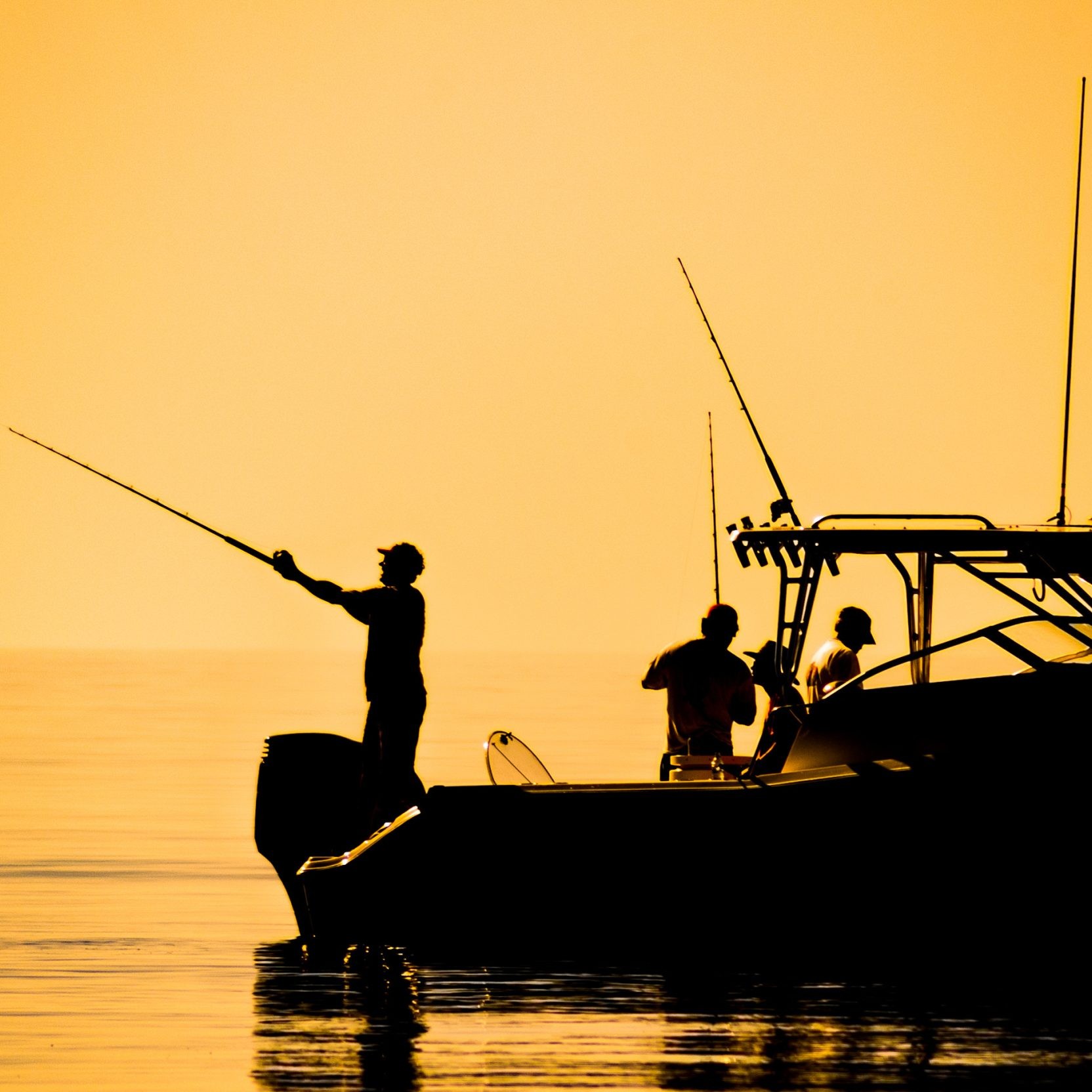 Fishing in Lake Saimaa with an almost guaranteed catch of pike, perch, or zander.